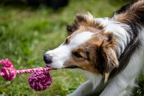 Spielen geht immer und überall
